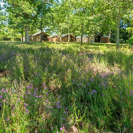 Villa 1 - Domaine Des Landes *